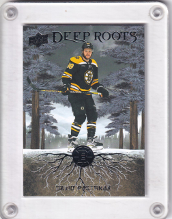Pastrňák David Upper Deck 2023-24 Deep Roots č.DR-31