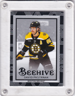 Pastrňák David UD Extended 2024-25 Beehive č.BH-28