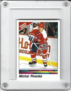 Pivoňka Michal Panini Hockey 1990-91 Samolepka č.154
