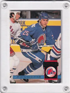Ručinský Martin Donruss 1993-94 č.281