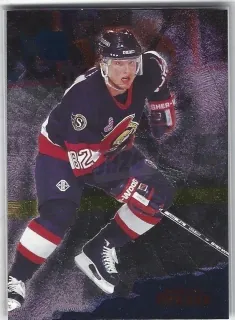 Straka martin Fleer Metal 1995-96 č.107