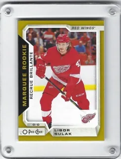 Šulák Libor O-Pee-Chee 2018-19 Rookie Gold č.637