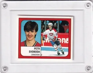 Svoboda Petr Panini 1988-89 Samolepka č.255