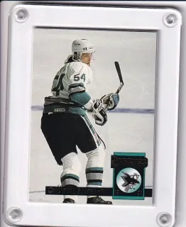 Sýkora Michal Donruss 1993-94 č.307