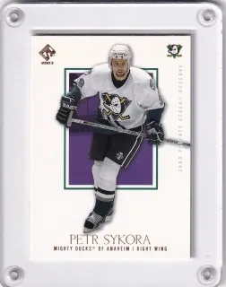 Sýkora Petr Private Stock Titanim 2003 č.3