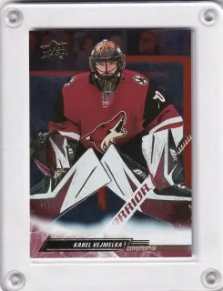 Vejmelka Karel Upper Deck 2022-23 Silver Foil č.12