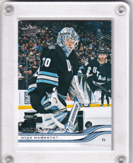 Vejmelka Karel Upper Deck 2025-26 Řadovka č.424