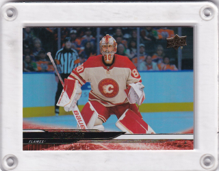 Vladař Dan Upper Deck 2024-25 Silver Foil č.269