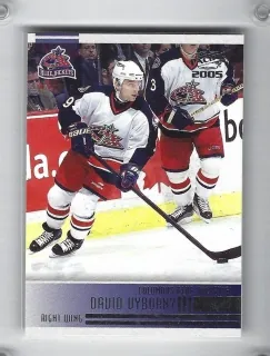 Výborný David Pacific 2005 č.80