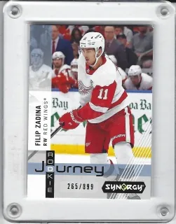 Zadina Filip Upper Deck Synergy 2019-20 Rookie Journey - Bílý dres /899 č.RP-3