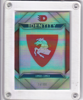 Pardubice Logo 100 let Dynamo Pardubice 2024 Identity 1of100 č.4