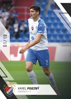 Pojezný Karel SportZoo Fortuna liga 2022-23 II.série Black /19 č.252