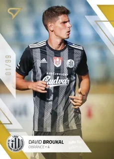 Broukal David SportZoo Fortuna liga 2022-23 II.série Gold /99 č.306