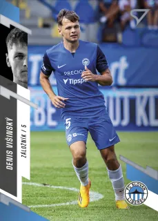 Višinský Denis SportZoo Fortuna liga 2023-24 I.série Řadovka č.088