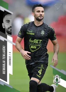Tekijaški Nemanja SportZoo Fortuna liga 2023-24 I.série Řadovka č.154