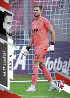 Budinský Viktor SportZoo Fortuna liga 2023-24 I.série Řadovka č.163