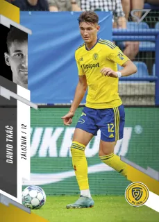 Tkáč David SportZoo Fortuna liga 2023-24 I.série Řadovka č.182