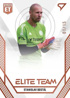 Dostál Stanislav SportZoo Fortuna liga 2023-24 I.série Elite Team /15 č.ET-33