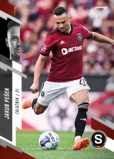 Pešek Jakub SportZoo Fortuna liga  2023-24 II.série Řadovka č.206