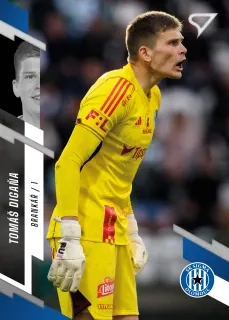 Digaňa Tomáš SportZoo Fortuna liga 2023-24 II.série Řadovka č.261