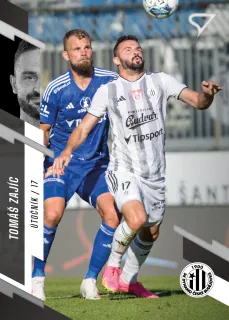 Zajíc Tomáš SportZoo Fortuna liga  2023-24 II.série Řadovka č.313
