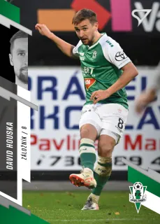 Houska David SportZoo Fortuna liga  2023-24 II.série Řadovka č.340