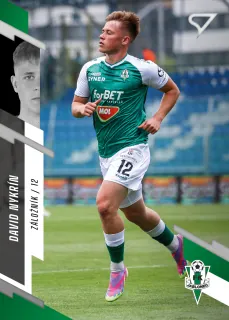 Nykrín David SportZoo Fortuna liga  2023-24 II.série Řadovka č.343