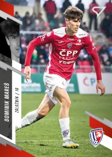 Mareš Dominik SportZoo Fortuna liga  2023-24 II.série Řadovka č.350