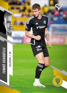 Schánělec Tomáš SportZoo Fortuna liga  2023-24 II.série Řadovka č.363