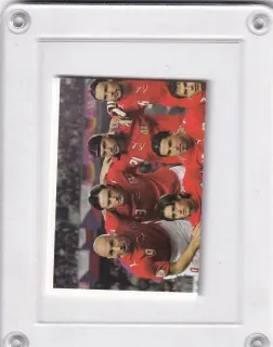 ČR Team  Panini   2008 Samolepka č.73