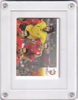 ČR Team  Panini   2008 Samolepka č.74