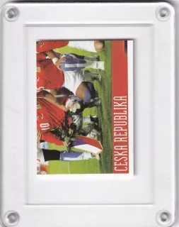 ČR Team  Panini   2008 Samolepka č.75