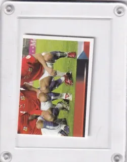 ČR Team  Panini   2008 Samolepka č.76