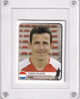 Galásek Tomáš Panini   2007-08 Samolepka č.33