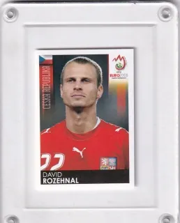 Rozehnal David Panini   2008 Samolepka č.83