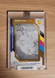 Vejmelka Karel MK Gamers 2022 Printing Plate 1of1 č.PP-KV
