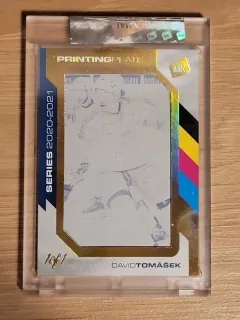 Tomášek David MK Gamers 2023 Printing Plate 1of1 č.PP-DT