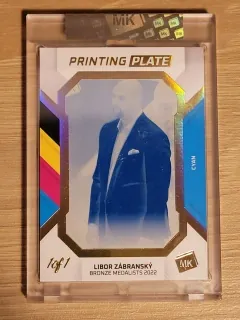 Zábranský Libor MK Gamers 2023 Printing Plate 1of1 Cyan č.PP-LZ