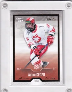 Cedzo Adam Goal Cards Dotisk 2022-23 Dotisk Gold /23 č.468