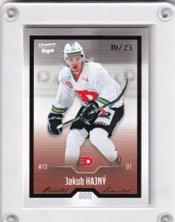 Hajný Jakub Goal Cards Dotisk 2022-23 Dotisk Gold /23 č.478