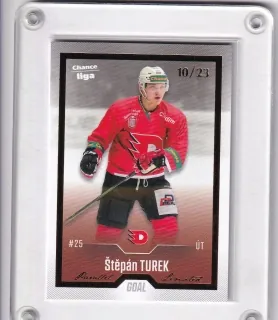 Turek Štěpán Goal Cards Dotisk 2022-23 Dotisk Gold /23 č.481