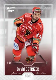 Ostřížek David Goal Cards 2022-23 Silver 1of60 č.56