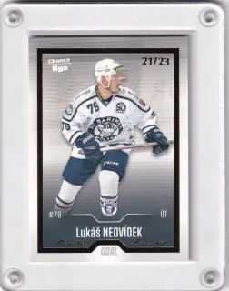 Nedvídek Lukáš Goal Cards 2022-23 Gold /23 č.128