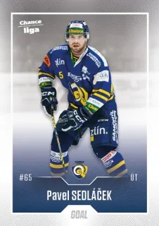 Sedláček Pavel Goal Cards 2022-23 Řadovka č.199