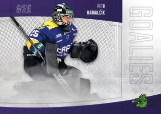 Hamalčík Petr Goal Cards 2022-23 Goalies č.G16