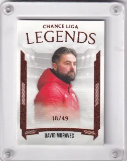 Moravec David Goal Cards 2022-23 Legends Parallel /49 č.L17