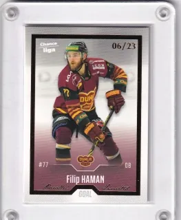 Haman Filip Goal Cards II.serie 2022-23 Gold /23 č.206