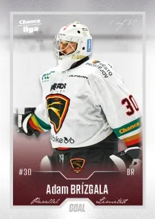Brízgala Adam Goal Cards II.serie 2022-23 Silver 1of60 č.245