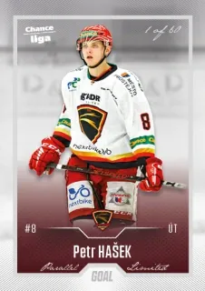 Hašek Petr Goal Cards II.serie 2022-23 Silver 1of60 č.252