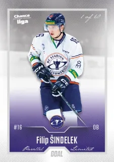 Šindelek Filip Goal Cards II.serie 2022-23 Silver 1of60 č.263